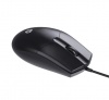 Chuột có dây HP M260 