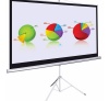 Màn chiếu đứng 136'' Apollo/Dalite