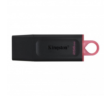 USB Kingston 256GB DTX