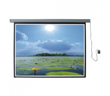 Màn chiếu điện 100'' Apollo/Dalite