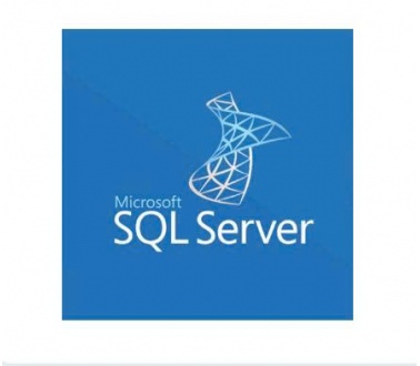 Phần mềm Microsoft SQL Server 2025 Standard edition Perpetual 1 Server License